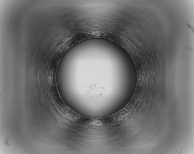 X0000096430656200802071726