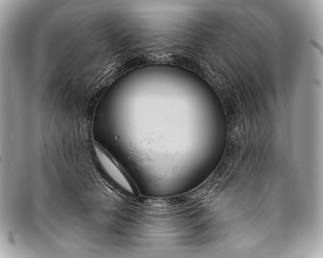 X0000096430658200802071726