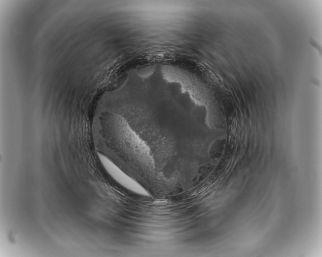 X0000096430659200802071726