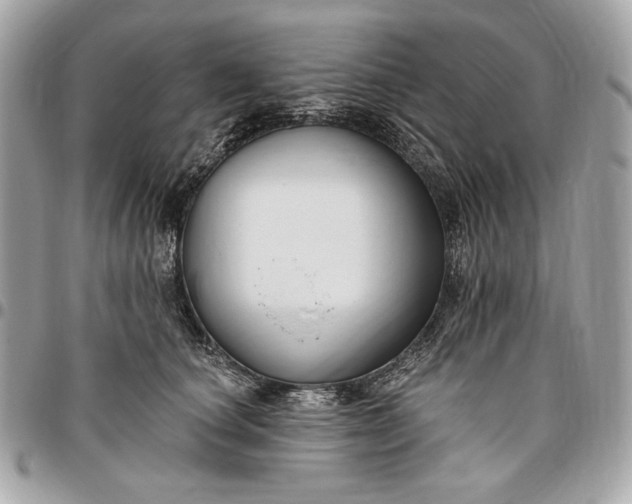 X0000096430660200802071727