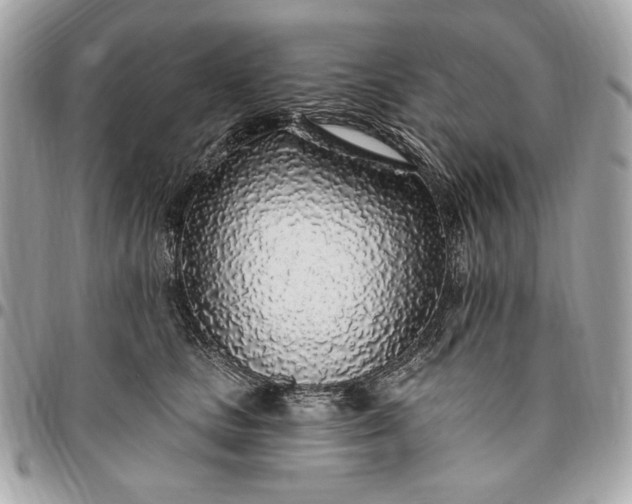 X0000096430661200802071727