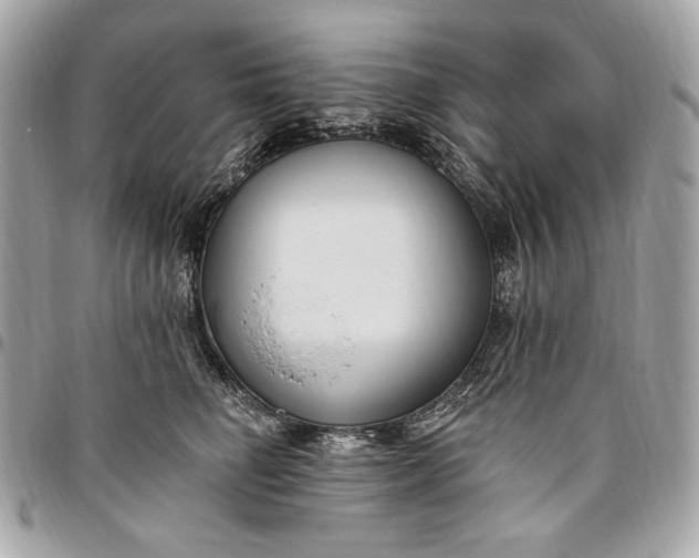 X0000096430662200802071727