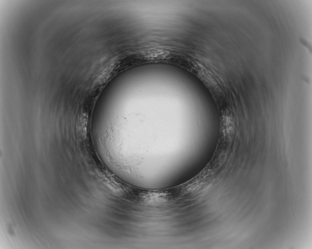 X0000096430664200802071727