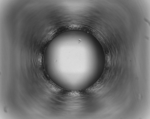 X0000096430668200802071727