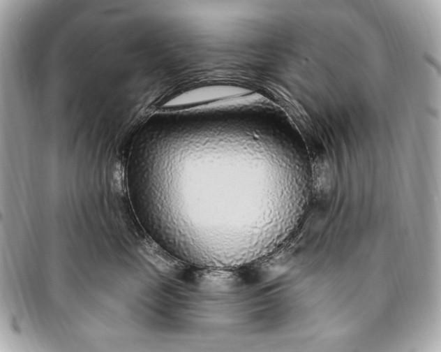 X0000096430669200802071727