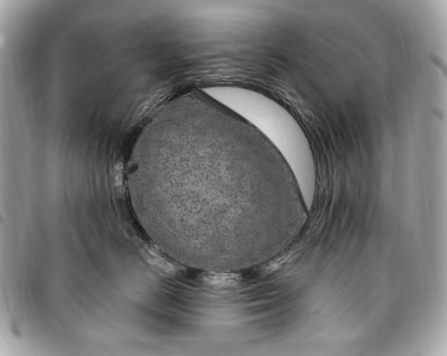 X0000096430670200802071727
