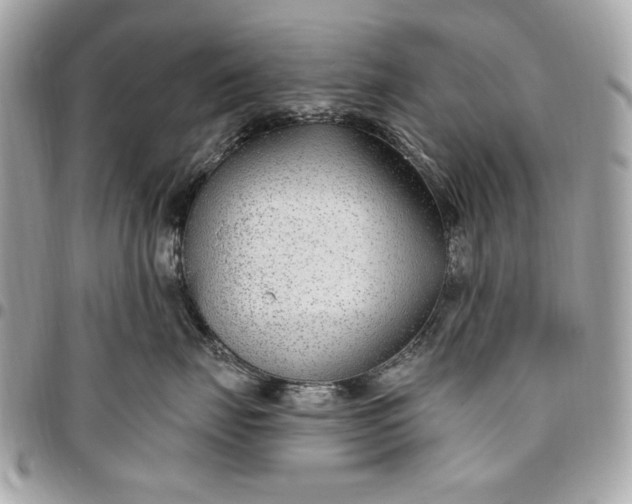 X0000096430671200802071727