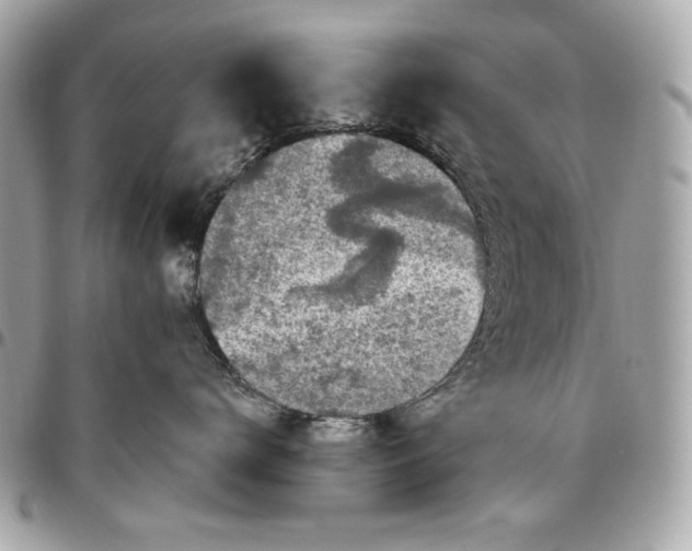 X0000096430672200802071727