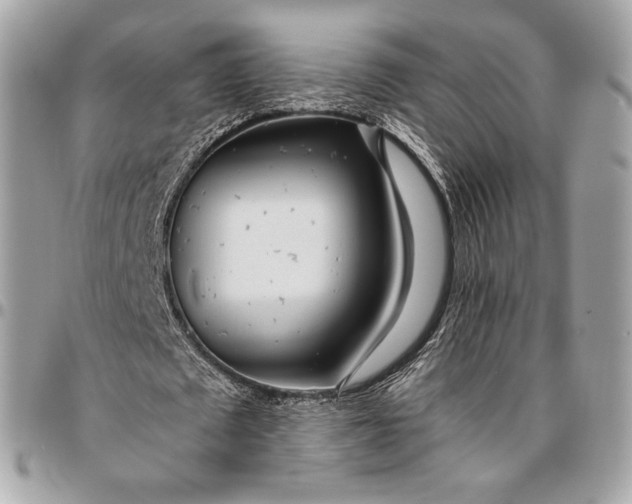 X0000096430673200802071726
