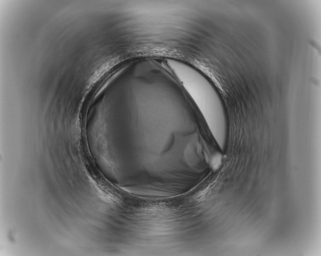 X0000096430674200802071726