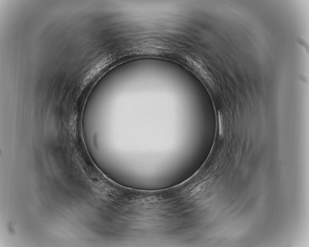 X0000096430675200802071726