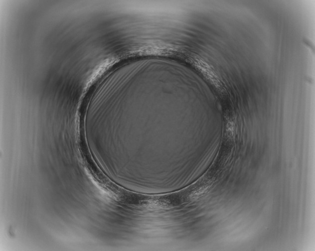 X0000096430678200802071726