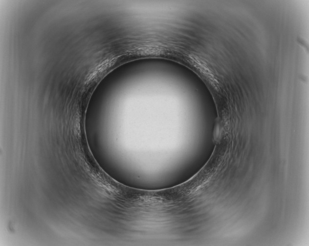 X0000096430681200802071726