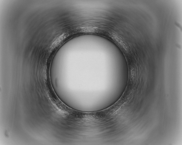 X0000096430682200802071726