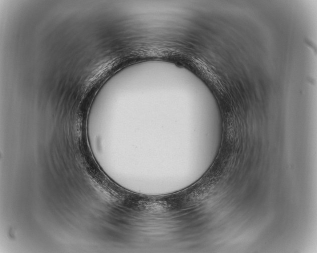 X0000096430683200802071726