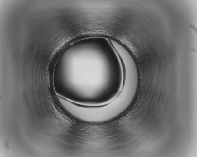 X0000096430684200802071726