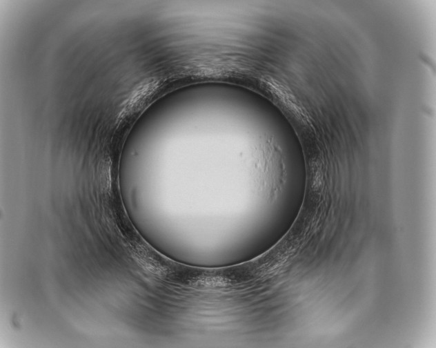 X0000096430685200802071726