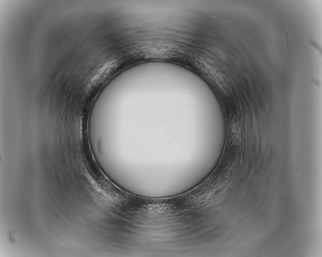 X0000096430686200802071726