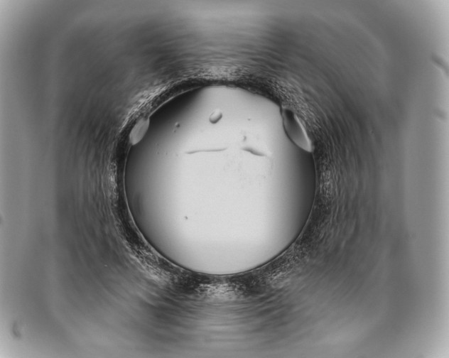 X0000096430688200802071726