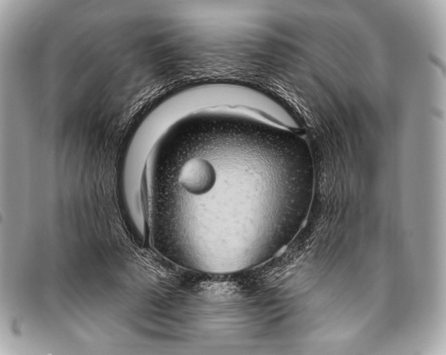 X0000096430689200802071726