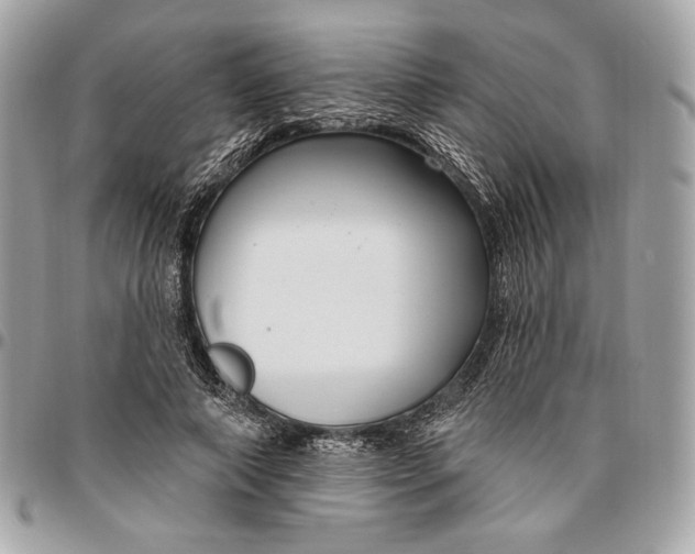 X0000096430690200802071726