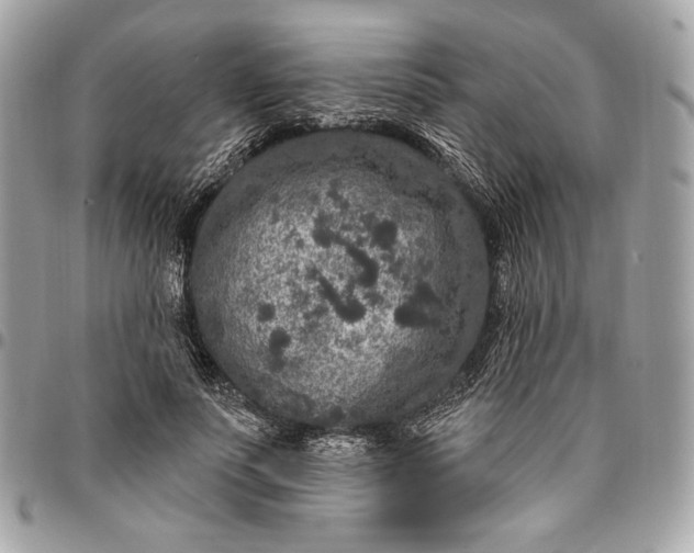 X0000096430691200802071726