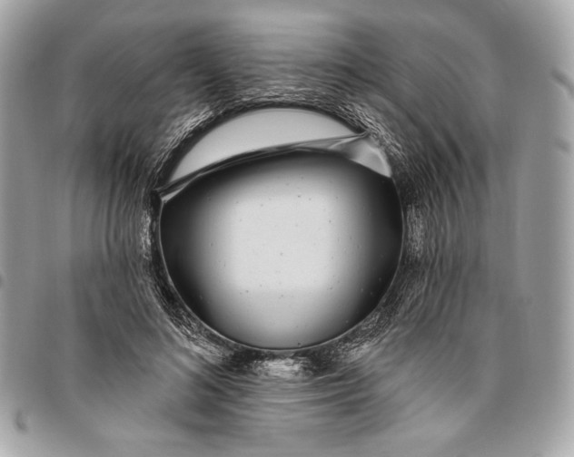 X0000096430692200802071726