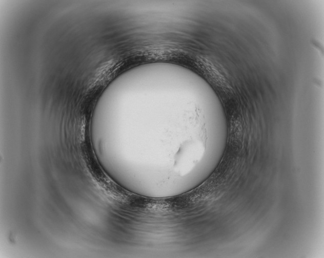 X0000096430694200802071726