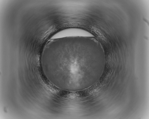 X0000096430696200802071726