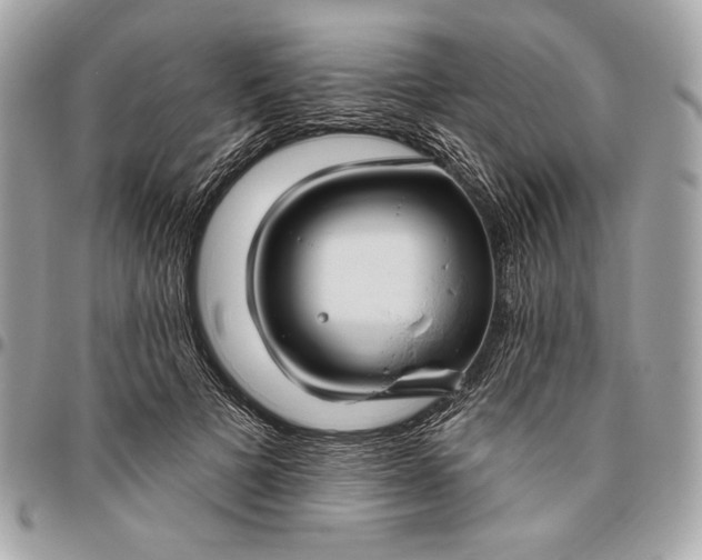 X0000096430697200802071726