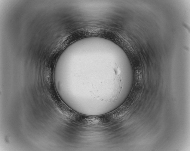 X0000096430698200802071726