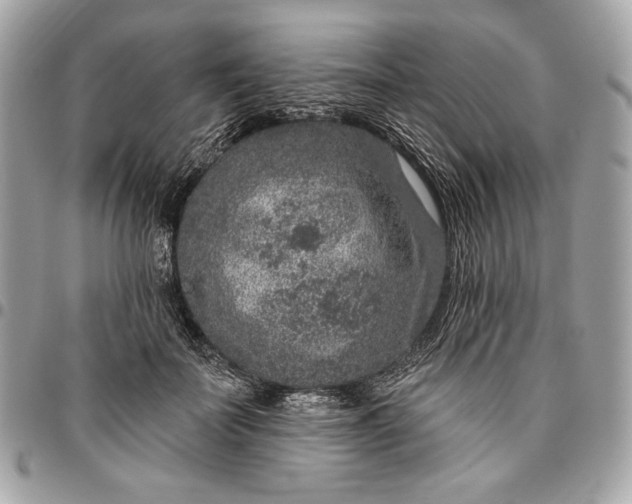 X0000096430699200802071726