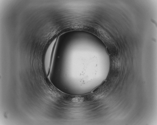 X0000096430700200802071726