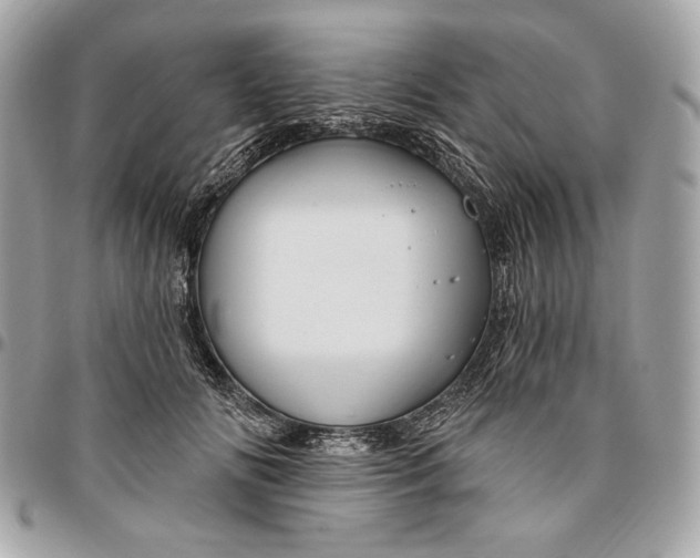X0000096430702200802071726