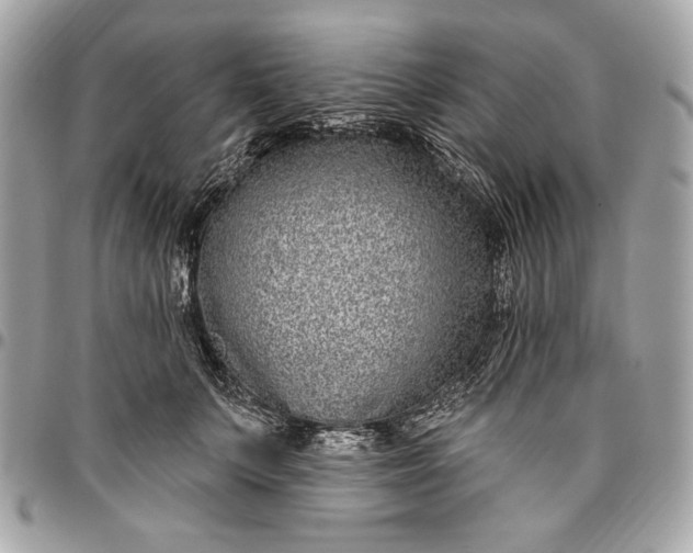 X0000096430703200802071726