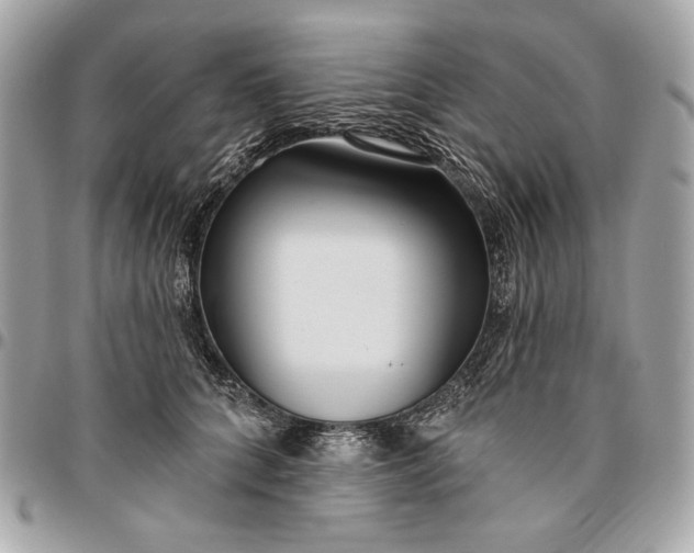 X0000096430704200802071726