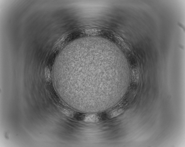 X0000096430705200802071726