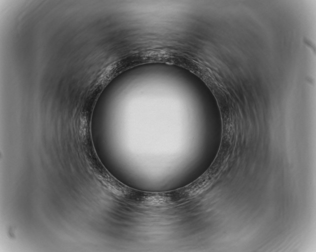 X0000096430708200802071726