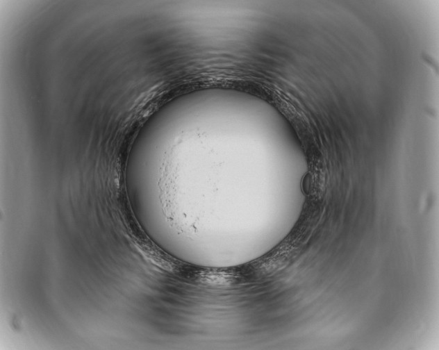 X0000096430710200802071726