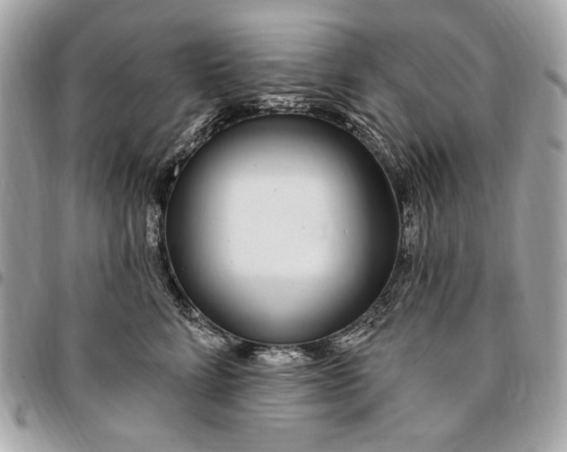 X0000096430712200802071725
