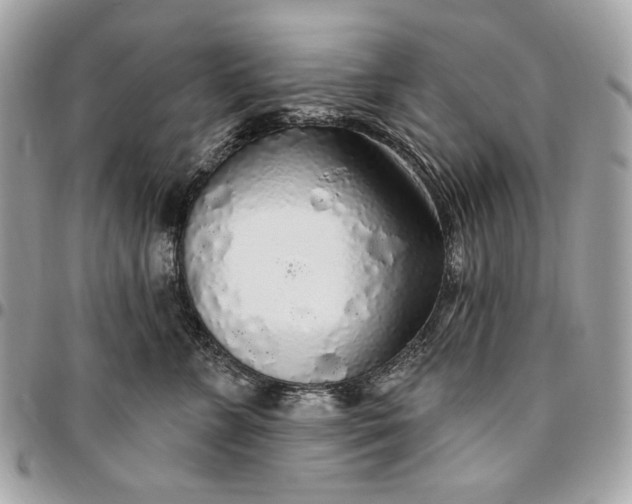 X0000096430715200802071725