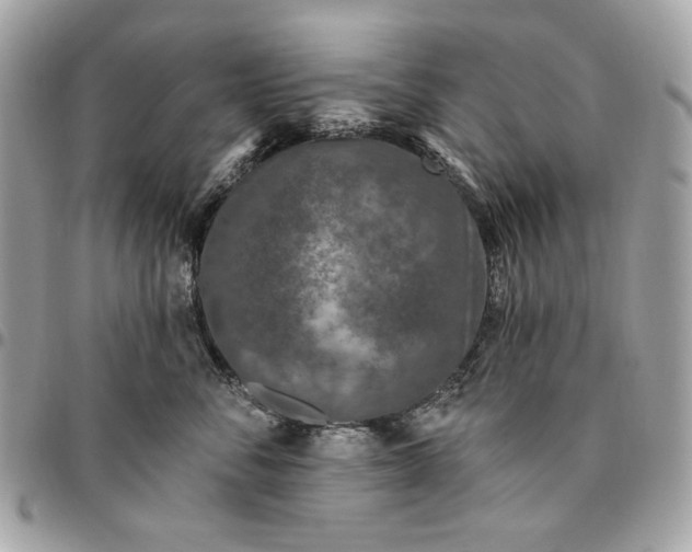 X0000096430716200802071725
