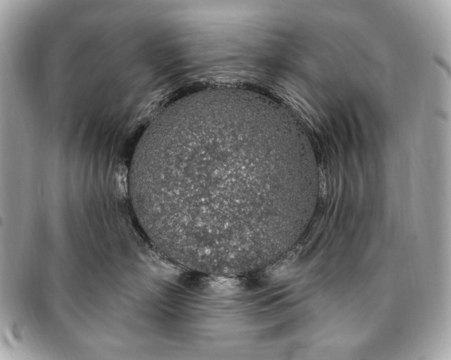 X0000096430718200802071725