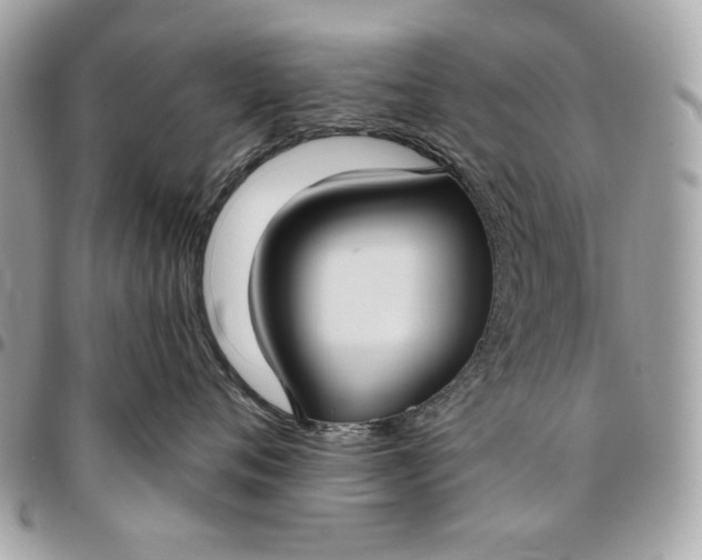 X0000096430720200802071725