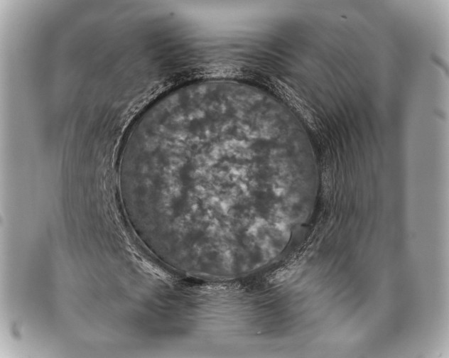 X0000096430721200802071725