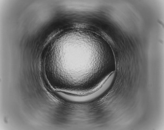X0000096430722200802071725
