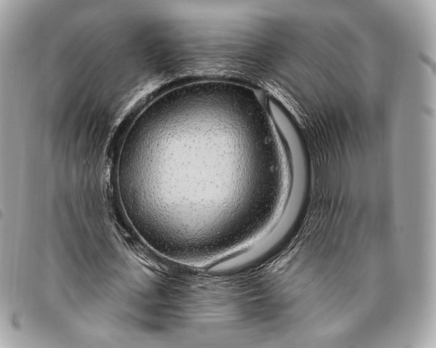 X0000096430723200802071725