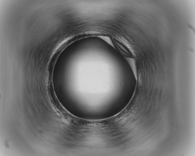 X0000096430724200802071725