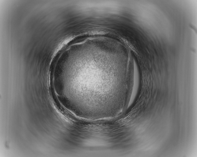 X0000096430726200802071725