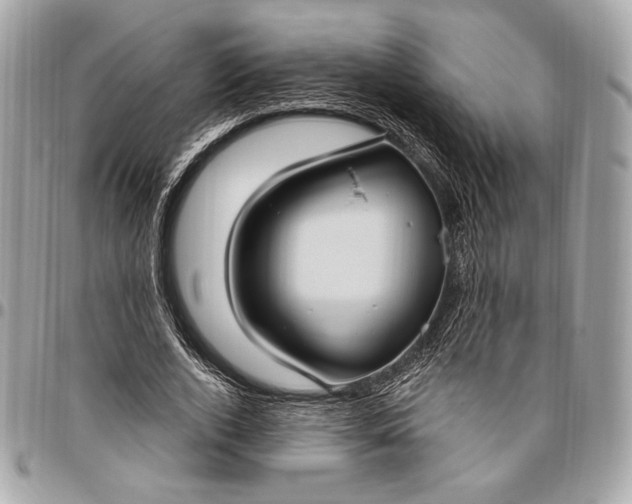 X0000096430728200802071725